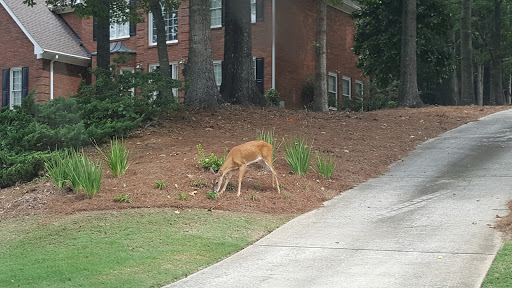 Golf Course «Flat Creek Country Club», reviews and photos, 100 Flat Creek Rd, Peachtree City, GA 30269, USA