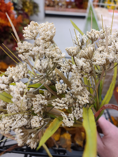 Fabric Store «Jo-Ann Fabrics and Crafts», reviews and photos, 311 Sagamore Pkwy N, Lafayette, IN 47904, USA