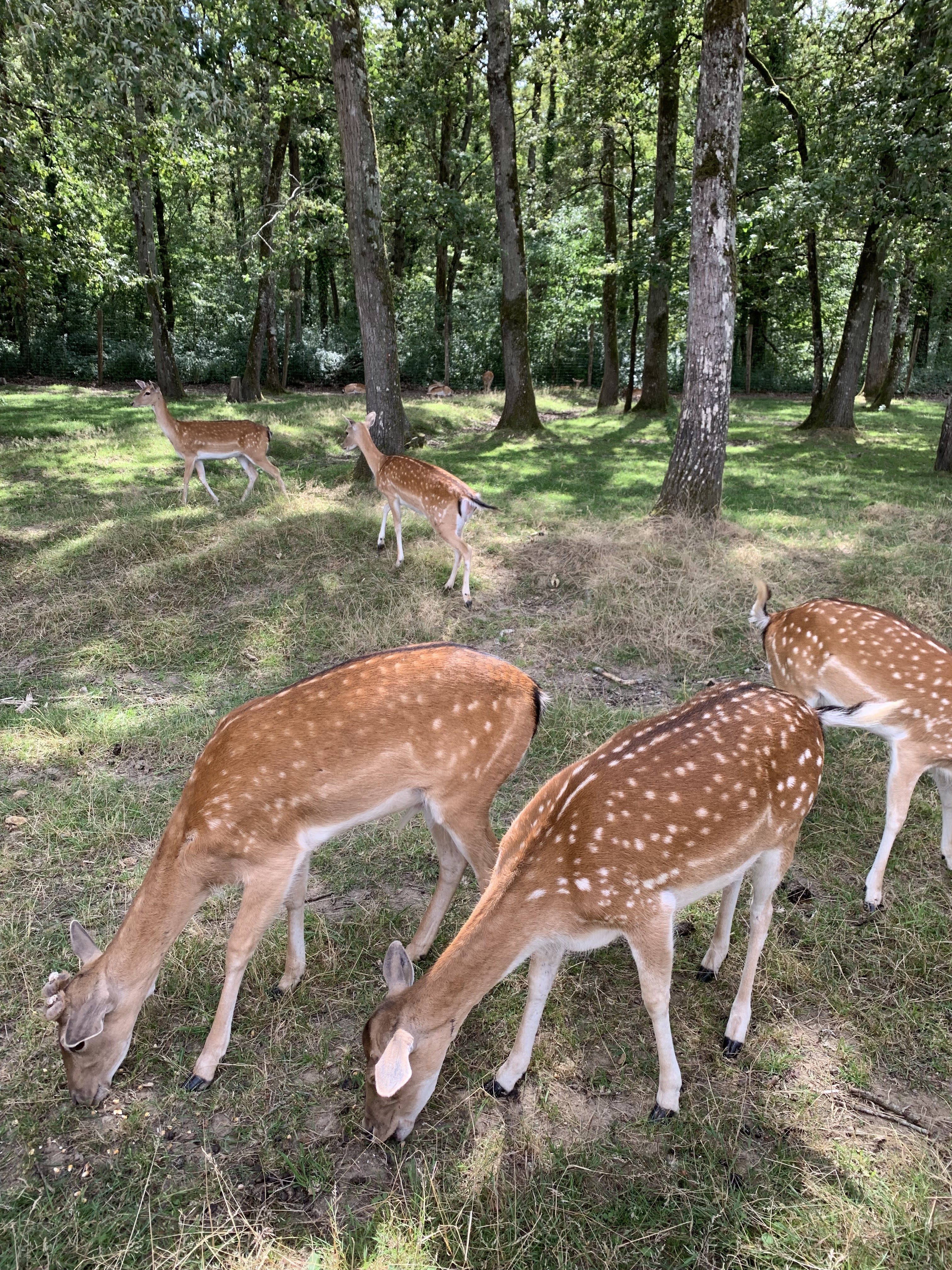 Photo n° 2 de l'avis de Aurélie. fait le 13/07/2023 à 16:40