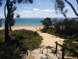Richardsons Beach'in fotoğrafı ve güzel manzarası