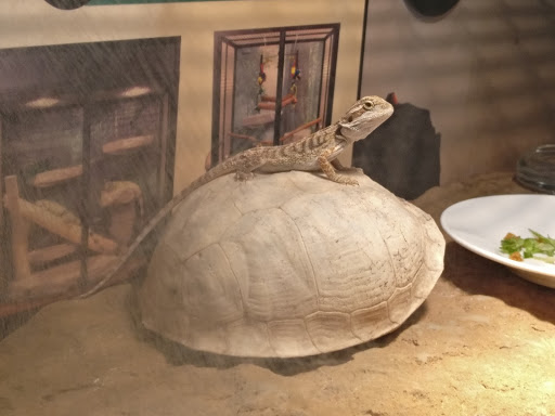 Nature Preserve «Fountain Rock Park & Nature Center», reviews and photos, 8511 Nature Center Place, Walkersville, MD 21793, USA