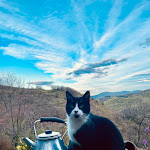 Photo n° 2 de l'avis de Alexandra.a fait le 02/05/2023 à 05:45 pour A Fleur De Vie à Saint-Julien-du-Gua