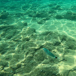 Photo n°3 de l'avis de Gabriele.o fait le 03/08/2021 à 12:32 sur le  The Elysian - Maison De Charme à San Marco