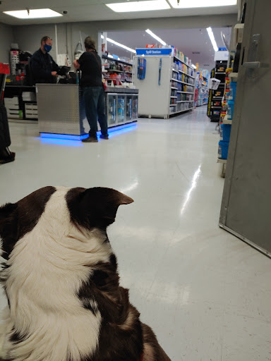 Discount Store «Walmart», reviews and photos, 1155 Airport Park Blvd, Ukiah, CA 95482, USA