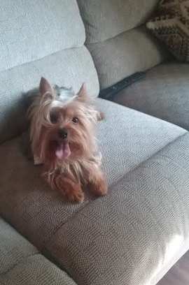 Pet Supply Store «EarthWise Pet Supply & Grooming», reviews and photos, 245 Fries Mill Rd, Blackwood, NJ 08012, USA