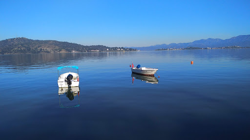 Mavi Kuş Dayanışma Derneği