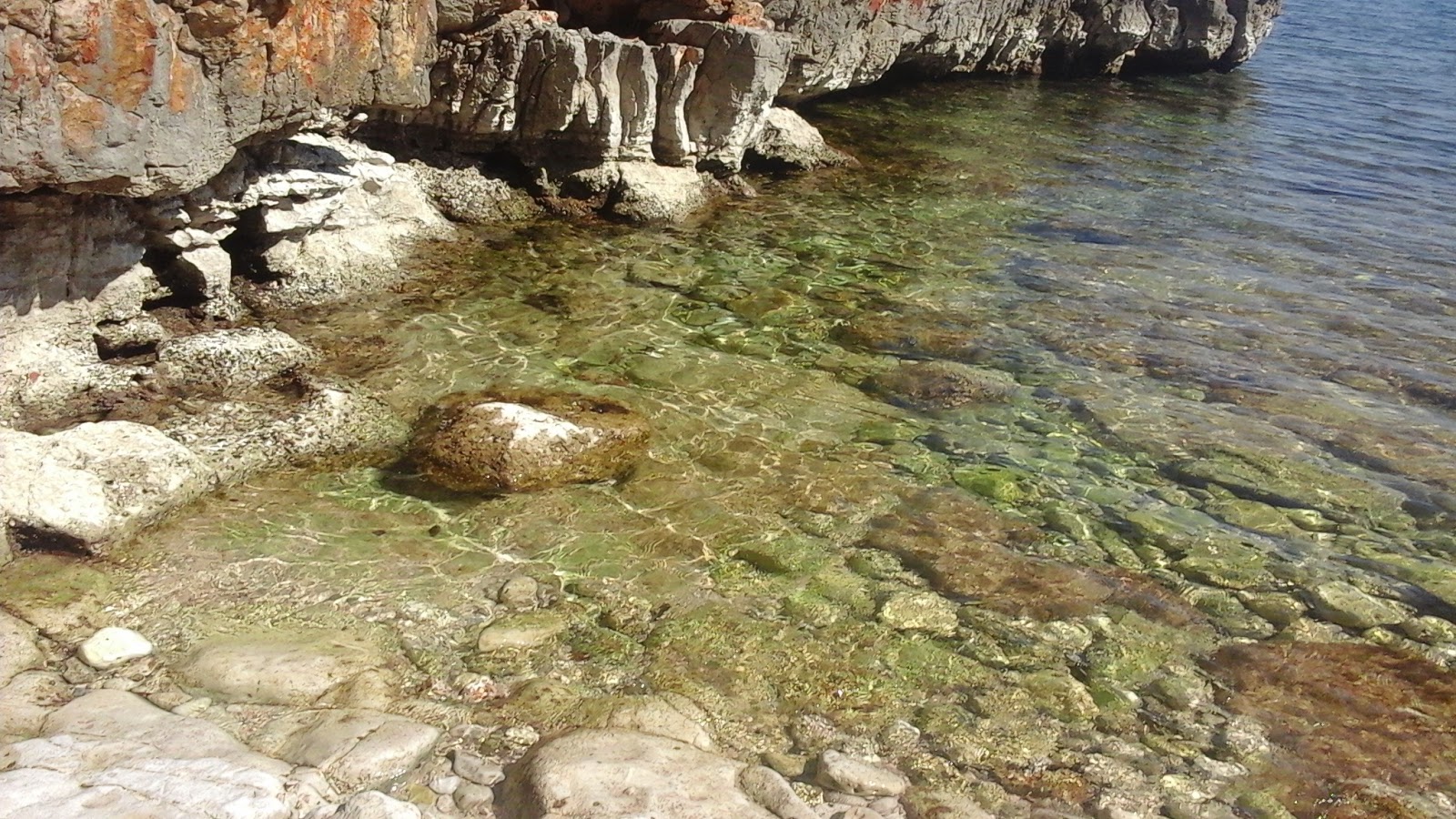 Jarovica beach'in fotoğrafı çok temiz temizlik seviyesi ile