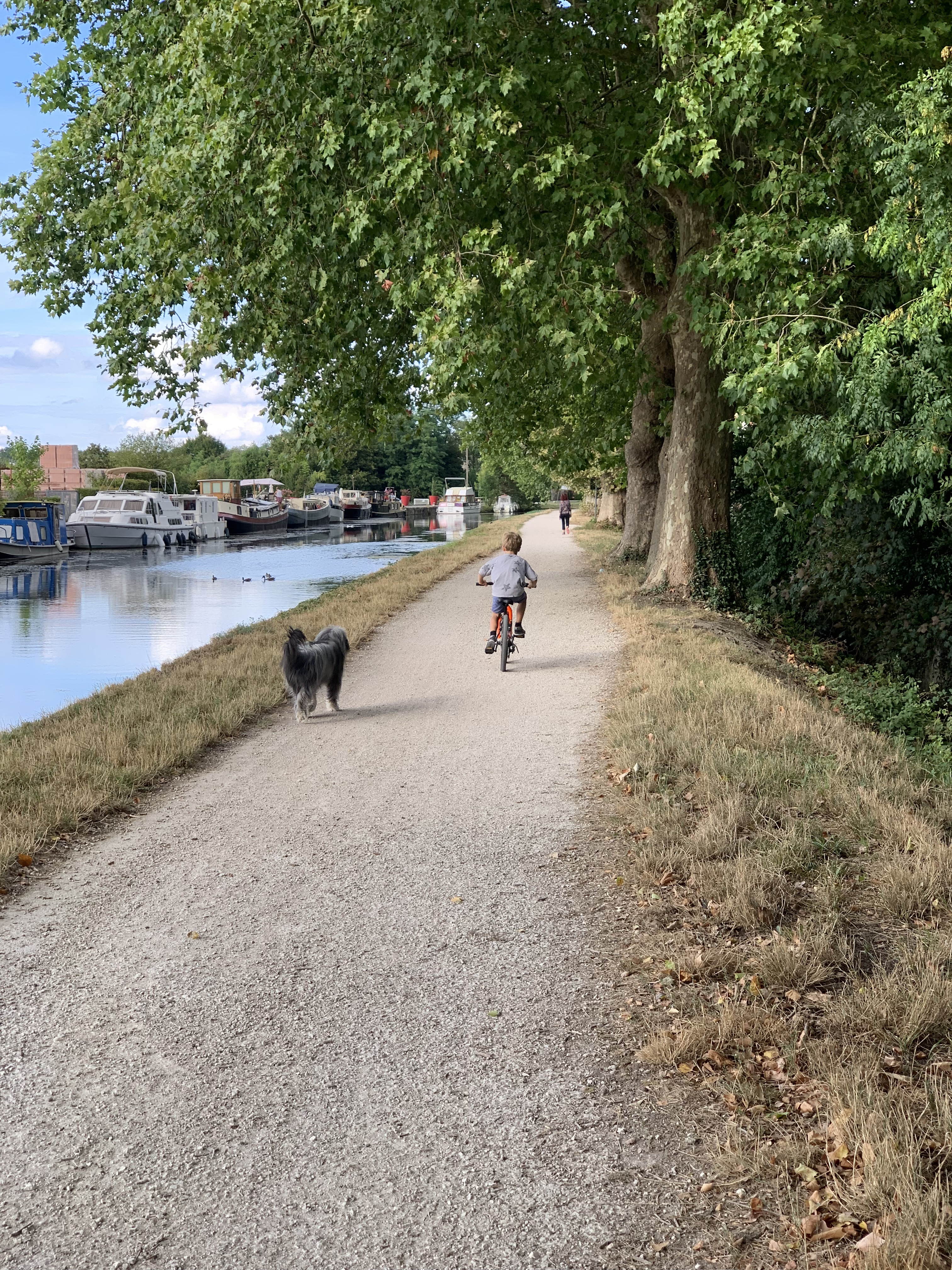 Photo n° 1 de l'avis de Guillaume.a fait le 07/10/2022 à 17:08