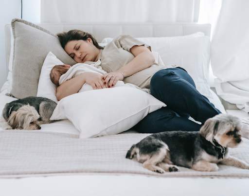 Mattress Store «Resale Factory Outlet Mattress Store», reviews and photos, 4000 S US Hwy 17 92, Casselberry, FL 32707, USA