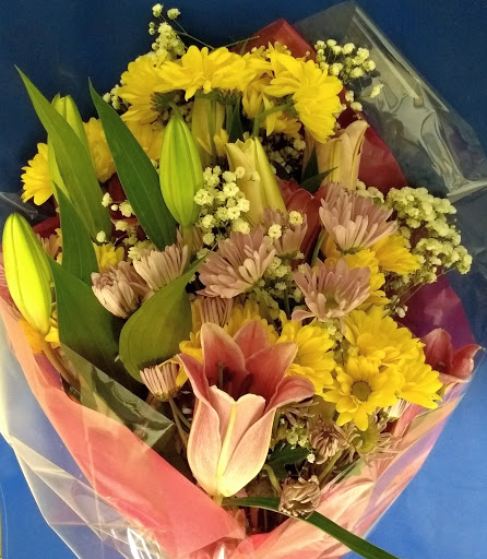 Pharmacy «Shoprite Of Orange», reviews and photos, 259 Bull Hill Ln, Orange, CT 06477, USA