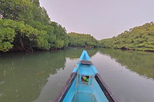 Uchila mangrove forest image