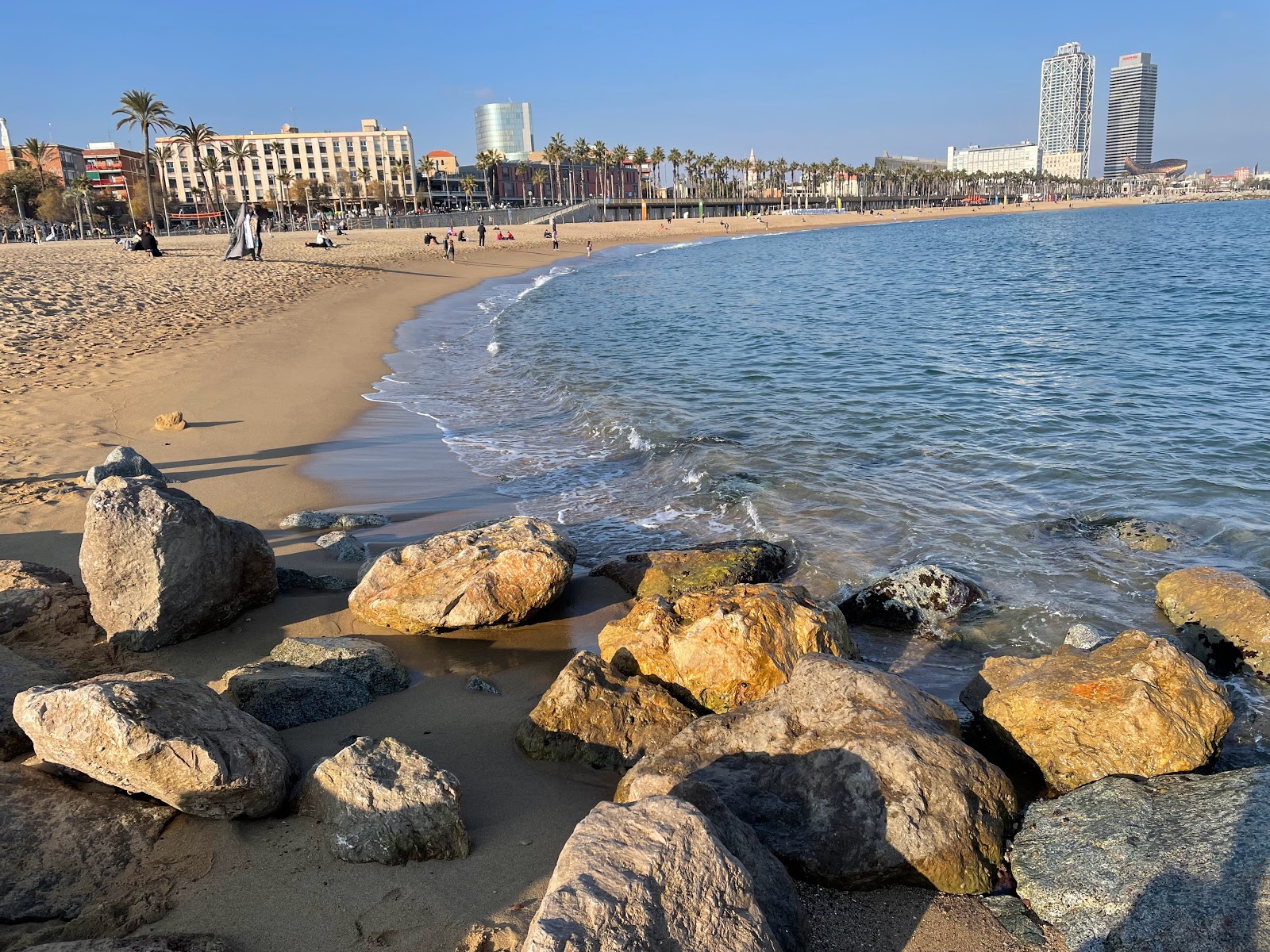 Playa Barceloneta photo #12