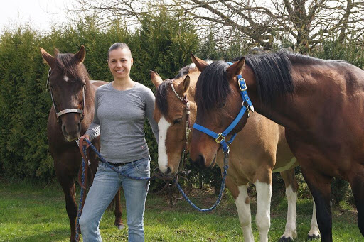 Tierosteopathie Friederike Arndt unter Waldstetten, Baden Württemberg
