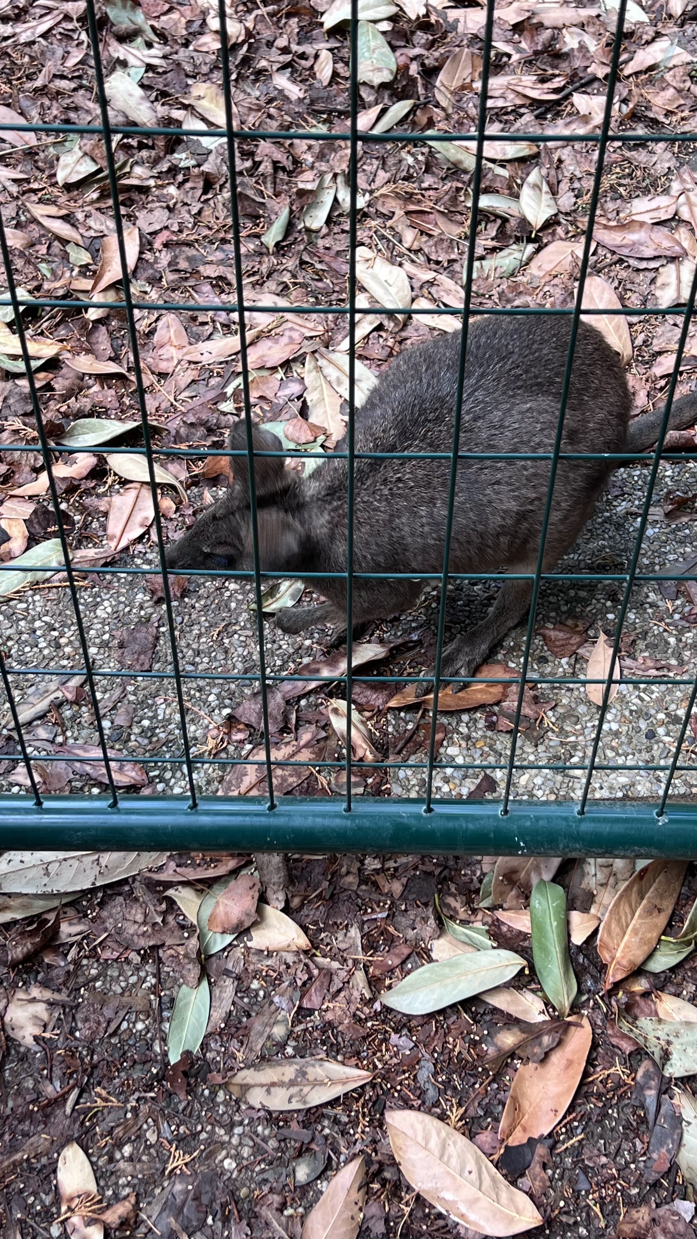Photo n° 31 de l'avis de Pascale.e fait le 08/09/2022 à 17:03