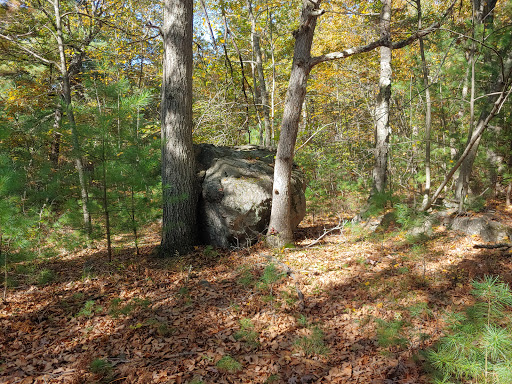 Hiking Area «Stony Brook Reservation», reviews and photos, Turtle Pond Pkwy, Hyde Park, MA 02136, USA