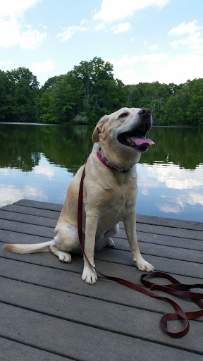 Nature Preserve «Cincinnati Nature Center», reviews and photos, 4949 Tealtown Rd, Milford, OH 45150, USA