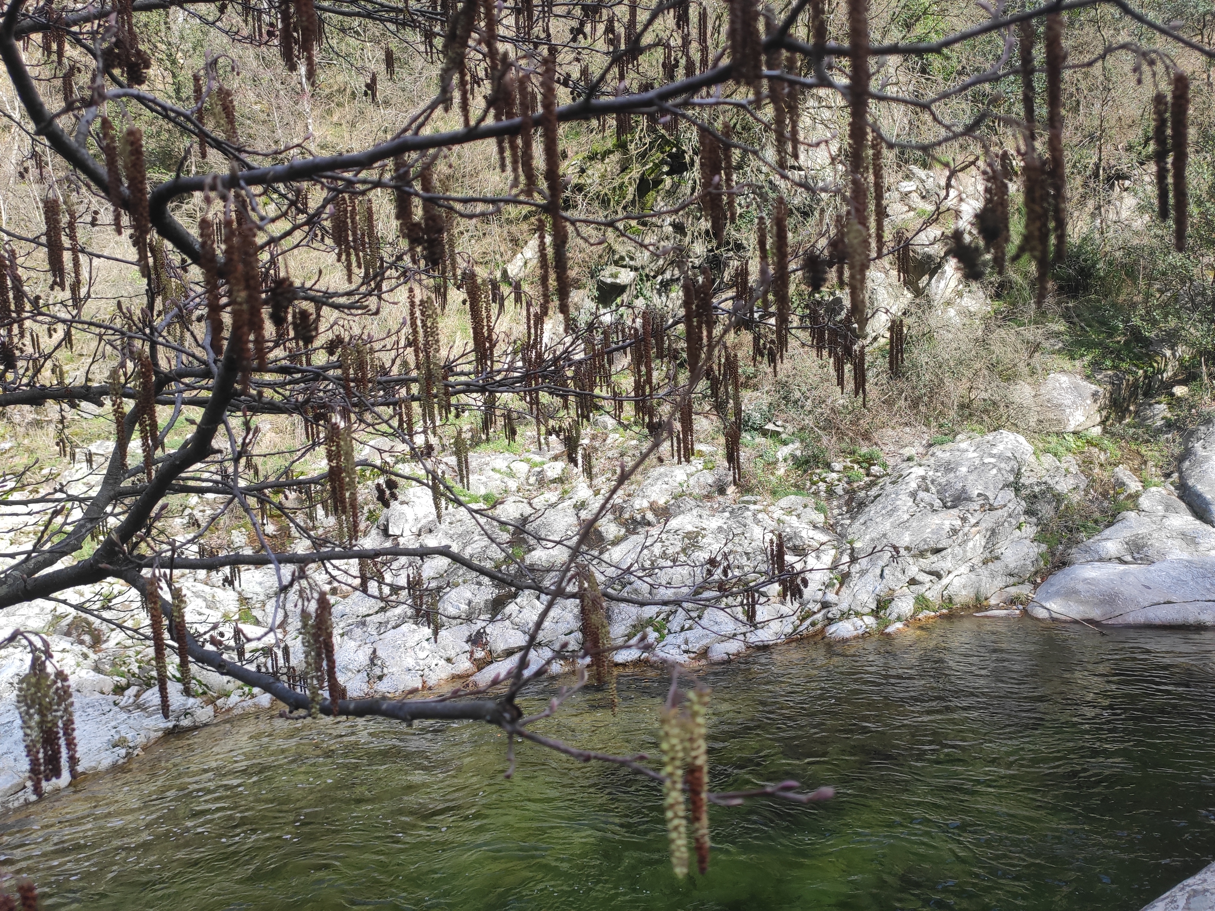 Photo n° 1 de l'avis de Vic.a fait le 25/02/2021 à 22:59