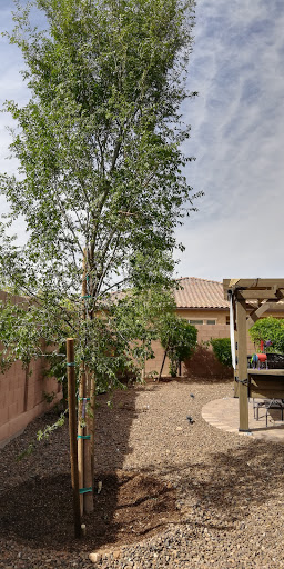 Garden Center «Moon Valley Nurseries West Valley / Avondale», reviews and photos, 11320 W Indian School Rd, Avondale, AZ 85323, USA