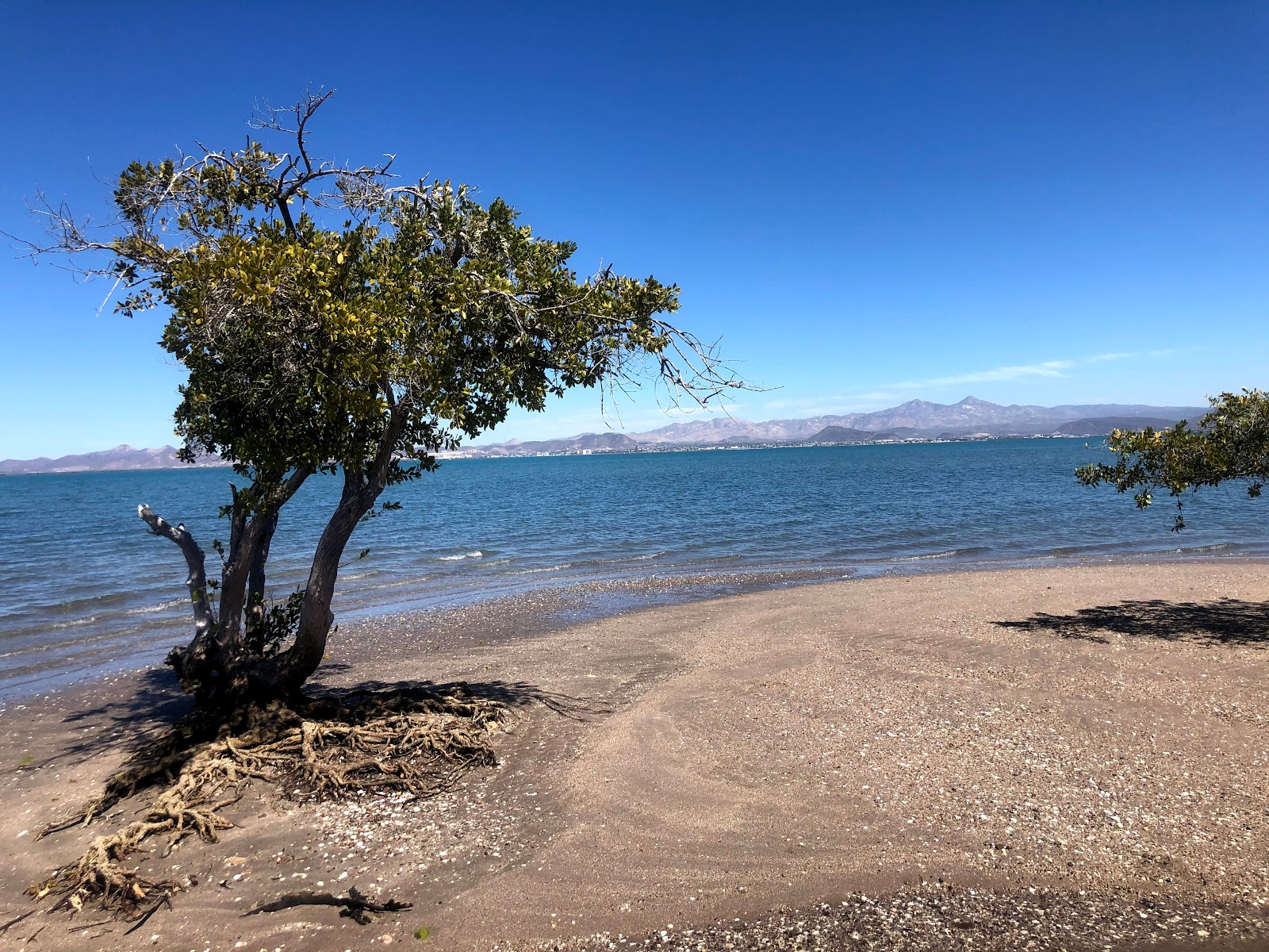 Φωτογραφία του Playa El Comitan με μακρά ευθεία ακτή