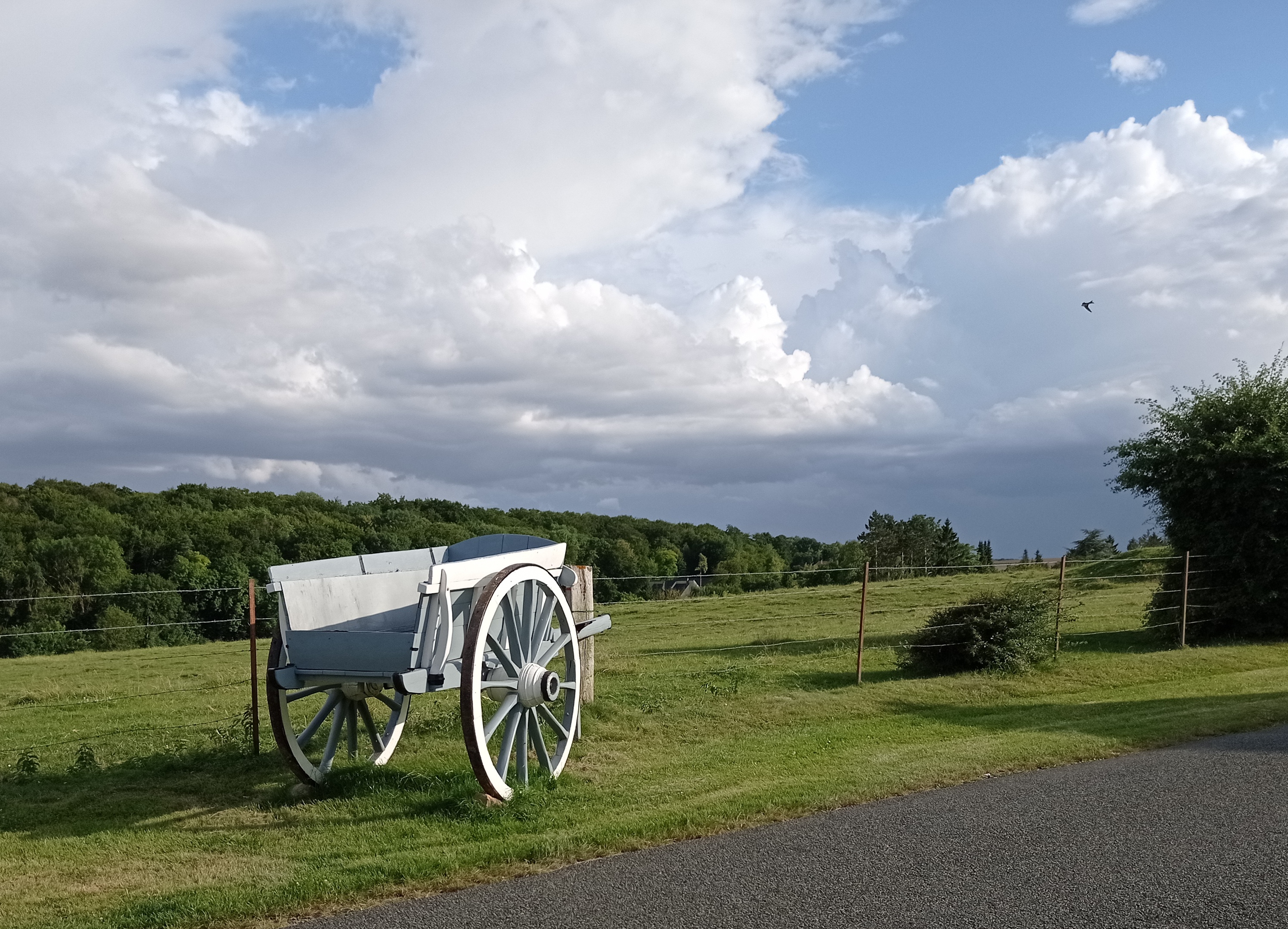 Photo n° 5 de l'avis de Brigitte.a fait le 01/08/2021 à 08:48