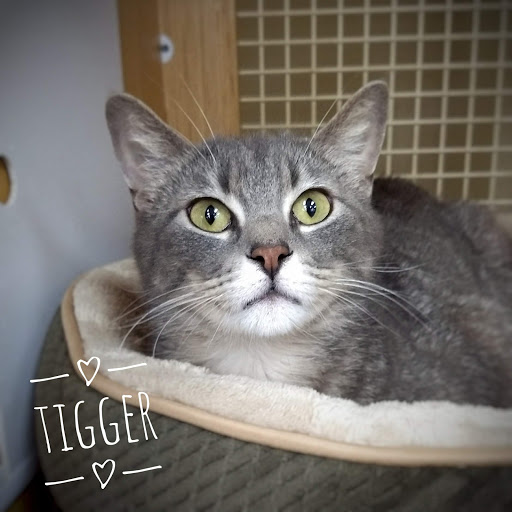 Pet Supply Store «Petco Animal Supplies», reviews and photos, 1500 N Town E Blvd, Mesquite, TX 75150, USA