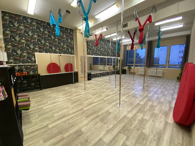 http://www.poledancemb.cz/