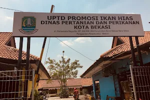 Pusat Promosi Ikan Hias Kota Bekasi image