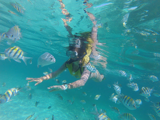 Total Snorkel Cancun