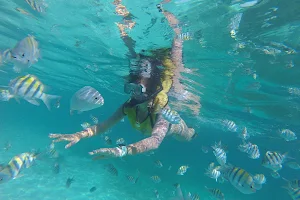 Total Snorkel Cancun image