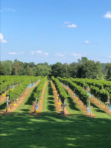 Winery «Wisdom Oak Winery», reviews and photos, 3613 Walnut Branch Ln, North Garden, VA 22959, USA