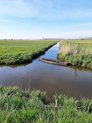 Marais de Saint-Hilaire à Carentan-les-Marais