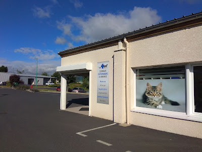 Clinique Vétérinaire Le Jorance à Yssingeaux