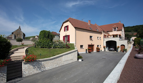 Champagne Boulogne Diouy à Nesle-le-Repons