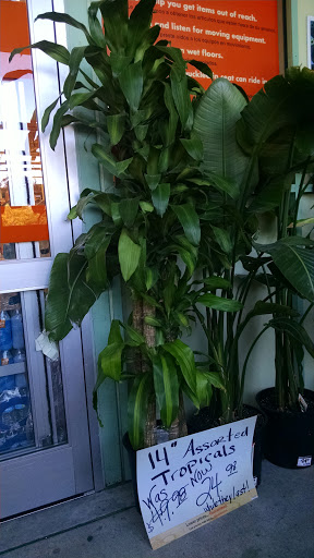 Home Improvement Store «The Home Depot», reviews and photos, 200 South Ave, Garwood, NJ 07027, USA