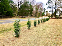 Lane Pro Services - Photo 5 - Car repair in , Winston-Salem