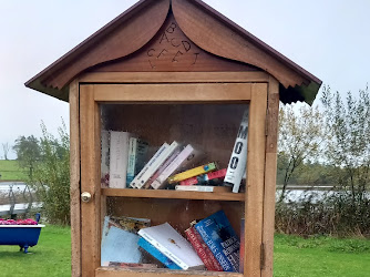 Free Small Library (TinyTown Project)