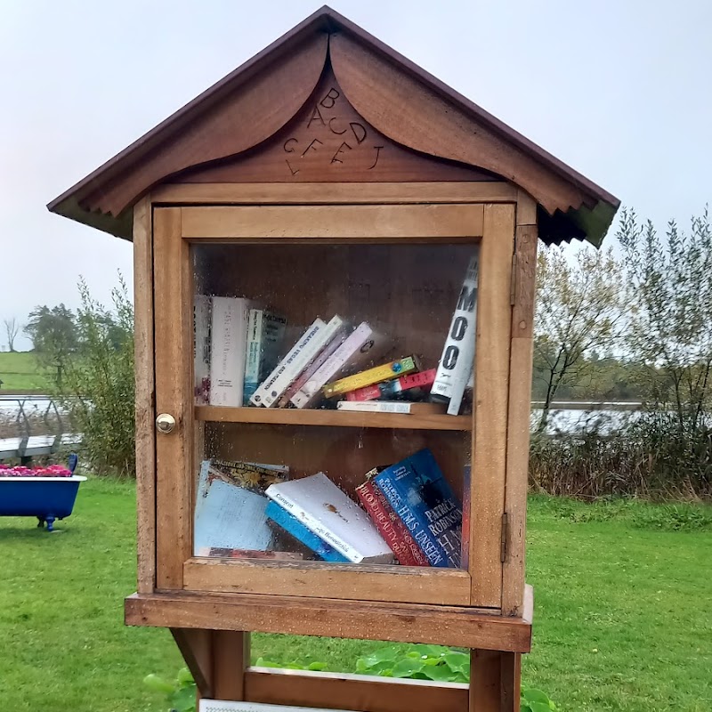 Free Small Library (TinyTown Project)