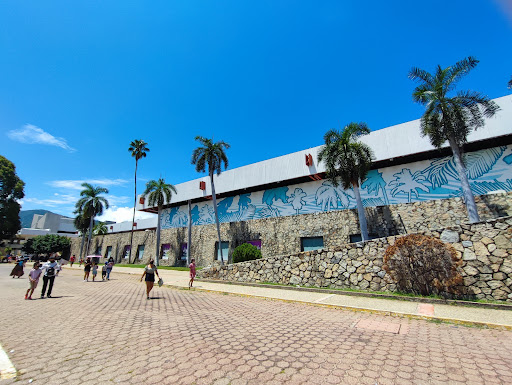 Centro Internacional Acapulco