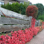 Photo n°7 de l'avis de Anke.a fait le 26/10/2023 à 05:02 sur le  Kurhaus-Stuben & Kurhaus-Keller à Schmitten