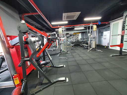 Af1qipnfr9tdtsaxm4ccuctcsr Anungedx11y1ssm2a