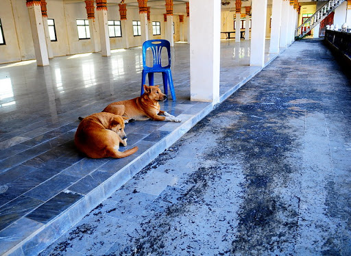 Dog Park «Mt. Airy Dog Park», reviews and photos, 3006 Westwood Northern Blvd, Cincinnati, OH 45211, USA