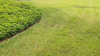 JCF LAWN CARE & PLOWING - Photo 5 - Car repair in Waterford, CT, Norwich