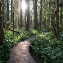 West Land Landscape Architects - Photo 6 - Car repair in Bellingham, WA, Bellingham