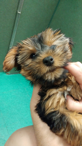 Shopping Mall «Iowa City Marketplace», reviews and photos, 1660 Sycamore St, Iowa City, IA 52240, USA