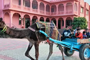 Jaipur City Tour image