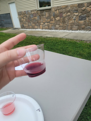 Winery «Merritt Estate Winery Inc», reviews and photos, 2264 King Rd, Forestville, NY 14062, USA