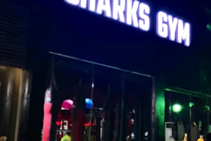 Sharks gym image