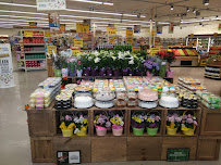 Food Lion - Photo 5 - Car repair in Gastonia, NC, Gastonia