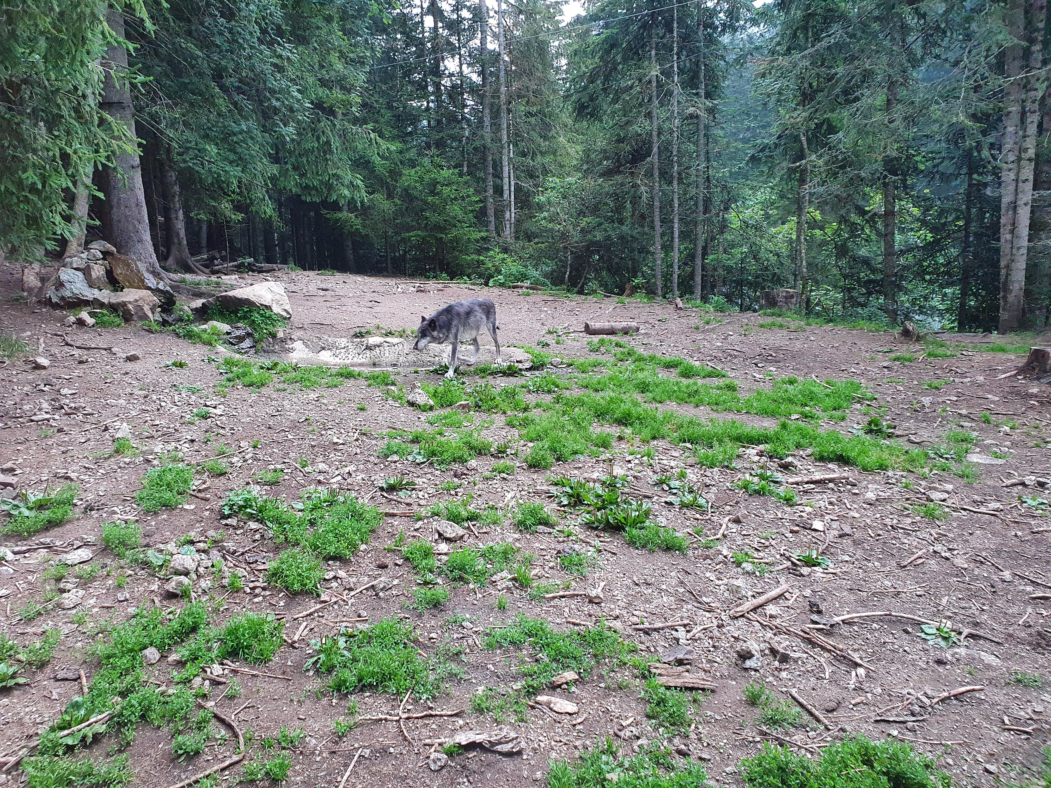 Photo n° 1 de l'avis de François.a fait le 22/07/2020 à 10:40