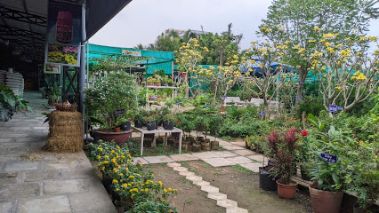 Mai Thiên Ngọc Garden